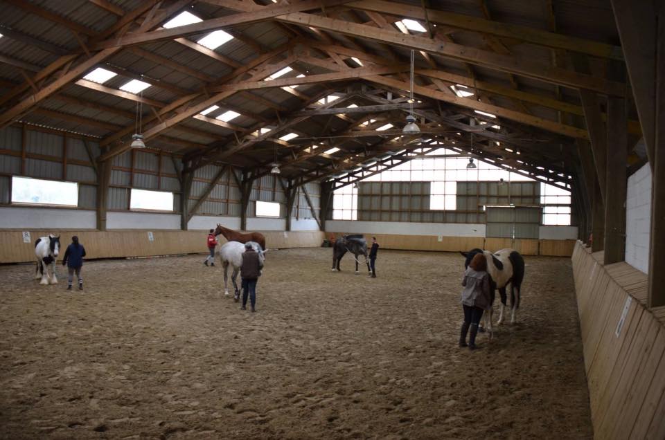 stage Éthologie SANDRINE DHONDT  2016