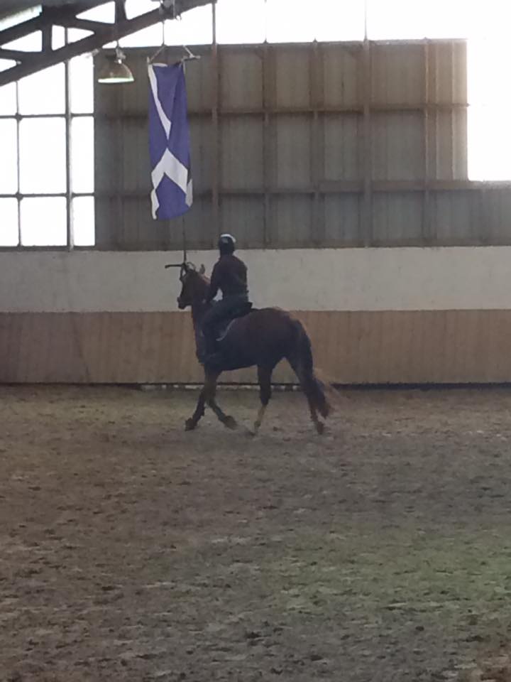 stage Éthologie SANDRINE DHONDT  2016