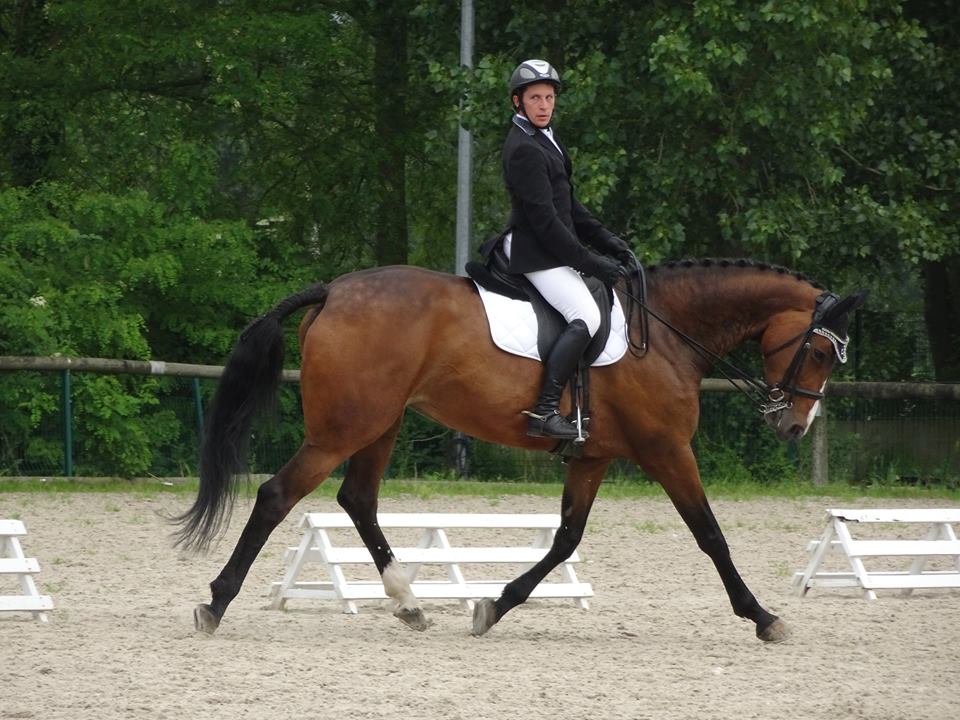 dressage amateur mesnil st Laurent