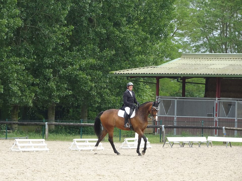 dressage amateur mesnil st Laurent