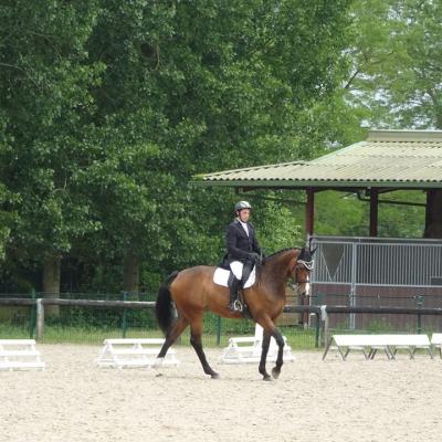 dressage amateur mesnil st Laurent