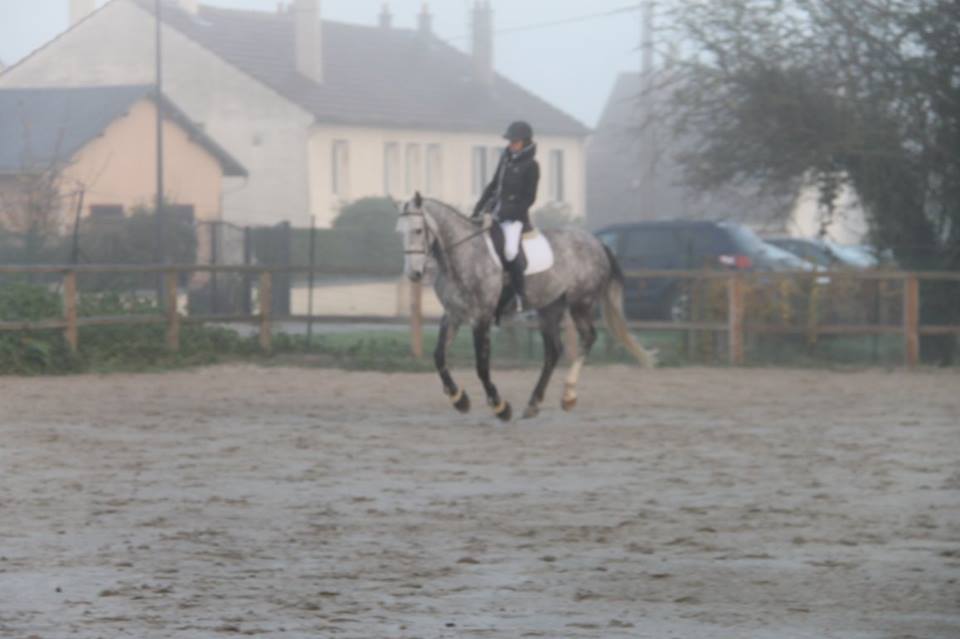 Concours de Villeneuve st Germain  30 Octobre 2016