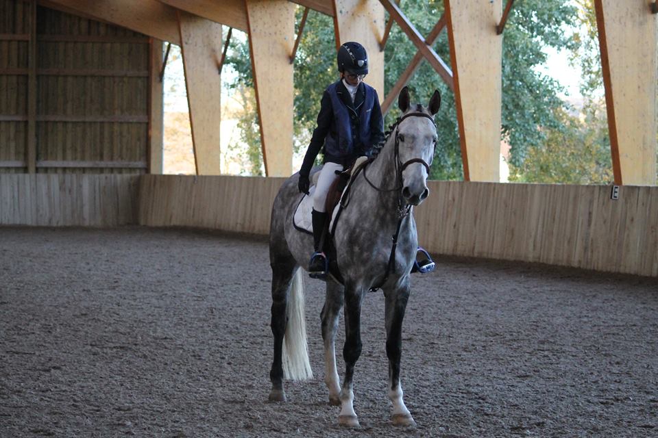 Concours de Villeneuve st Germain  30 Octobre 2016