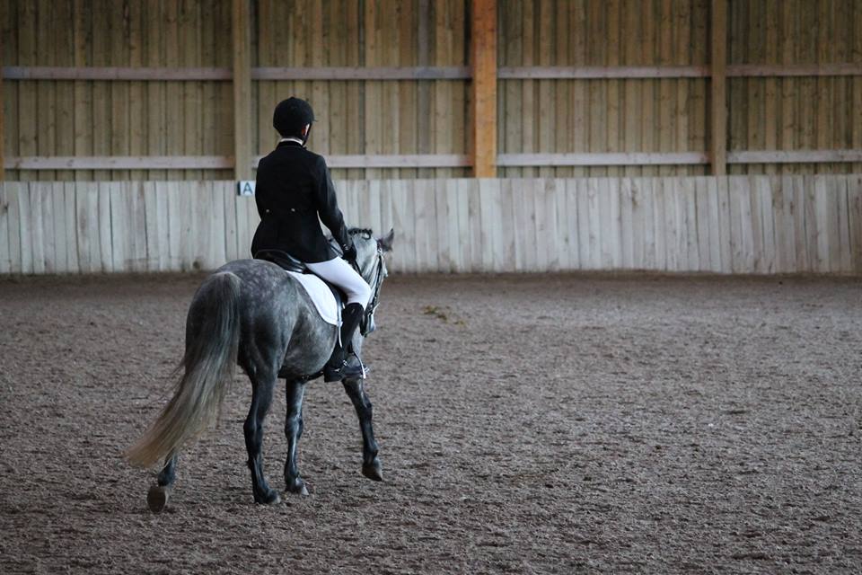 Concours de Villeneuve st Germain  30 Octobre 2016