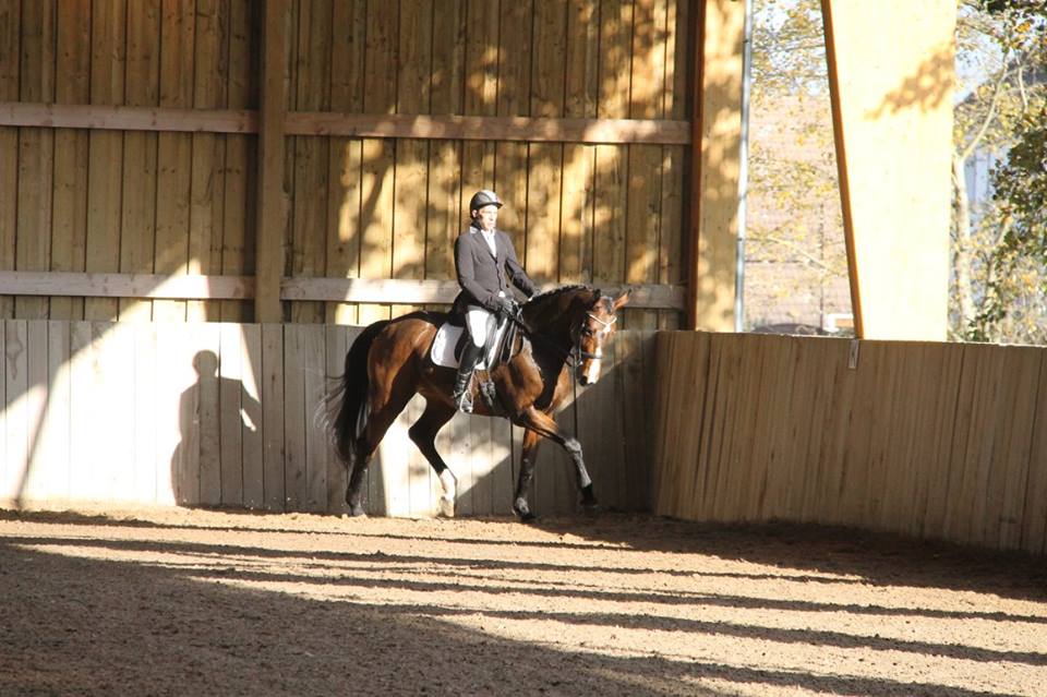 Concours de Villeneuve st Germain  30 Octobre 2016