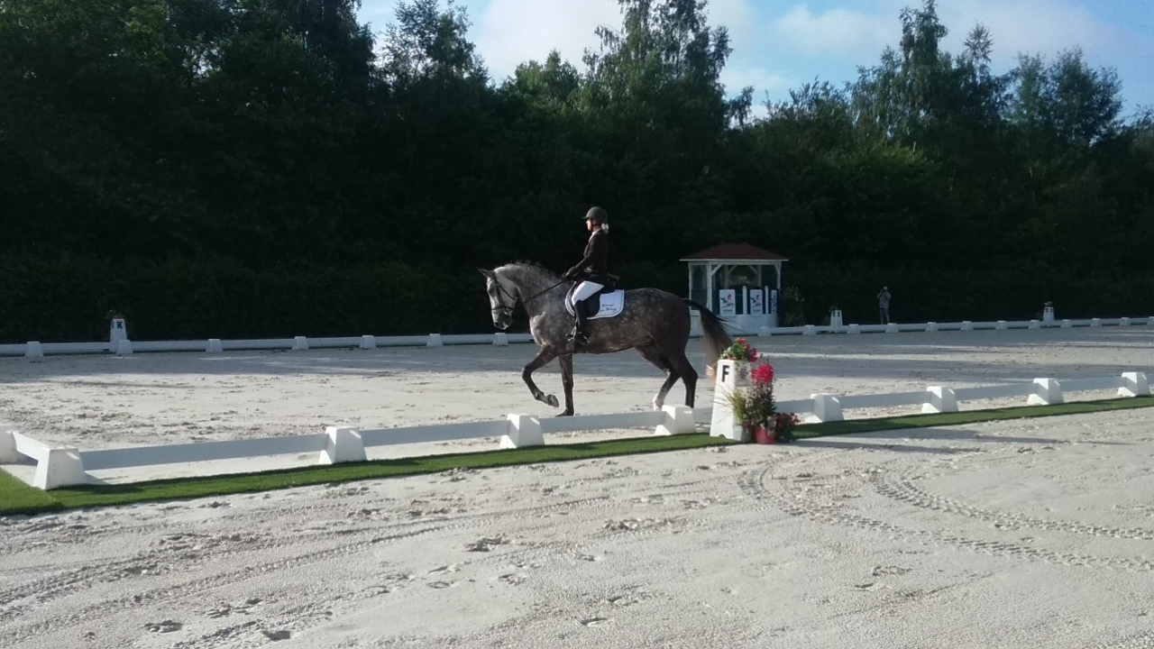 Compiègne Grand National,double étape, Fendi et Fleur 