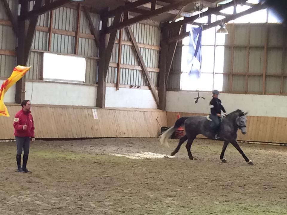 stage Éthologie SANDRINE DHONDT  2016