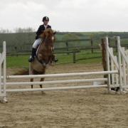 concours cso rethel avril 2012 037