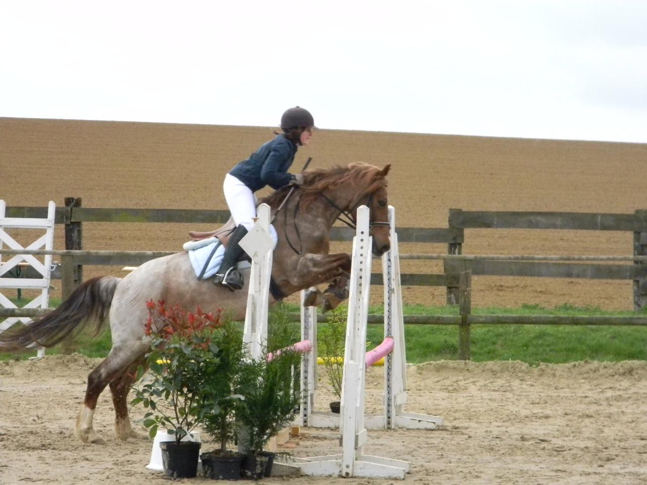 concours cso rethel avril 2012 045