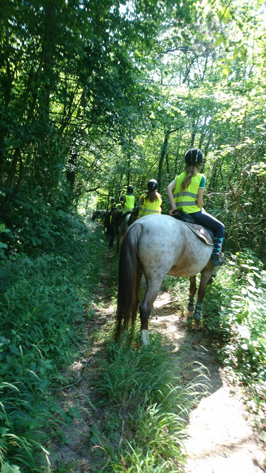 Nous apprecions la fraicheur de nos forets