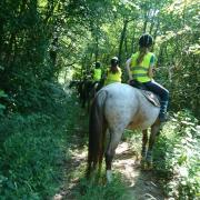 Nous apprecions la fraicheur de nos forets