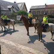 Pause abreuvement sous cette forte chaleur d ete