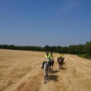 Sur le vieux Laon,camp des Romains