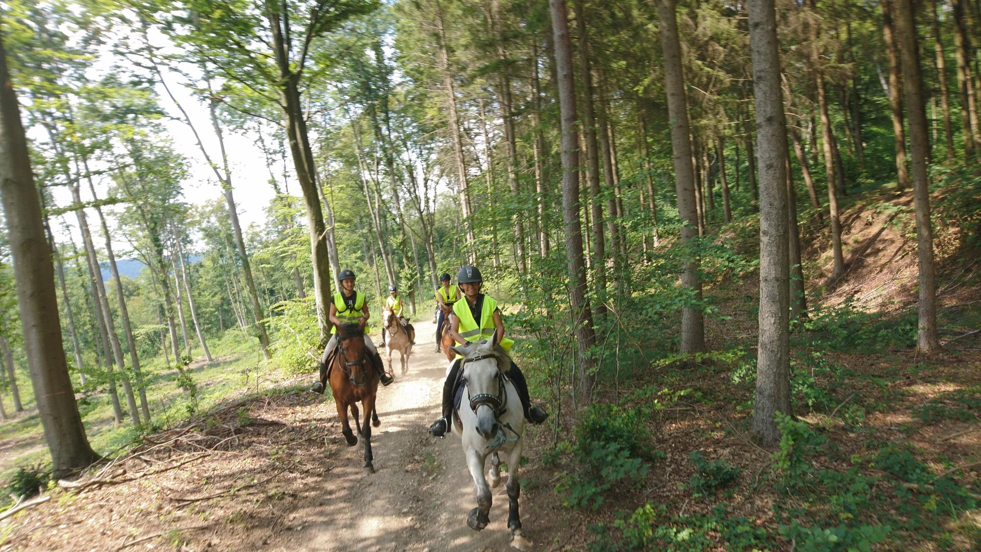 Nous apprecions la fraicheur de nos forets