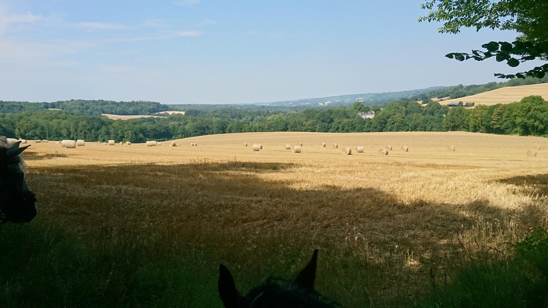 Chateau d'Arrancy 