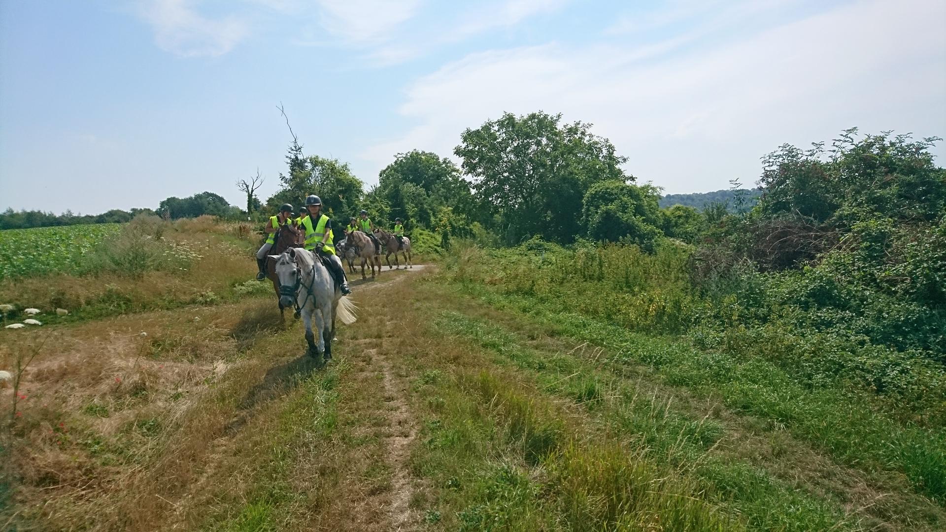 Sur les hauteurs