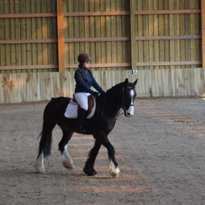 Concours dressage 