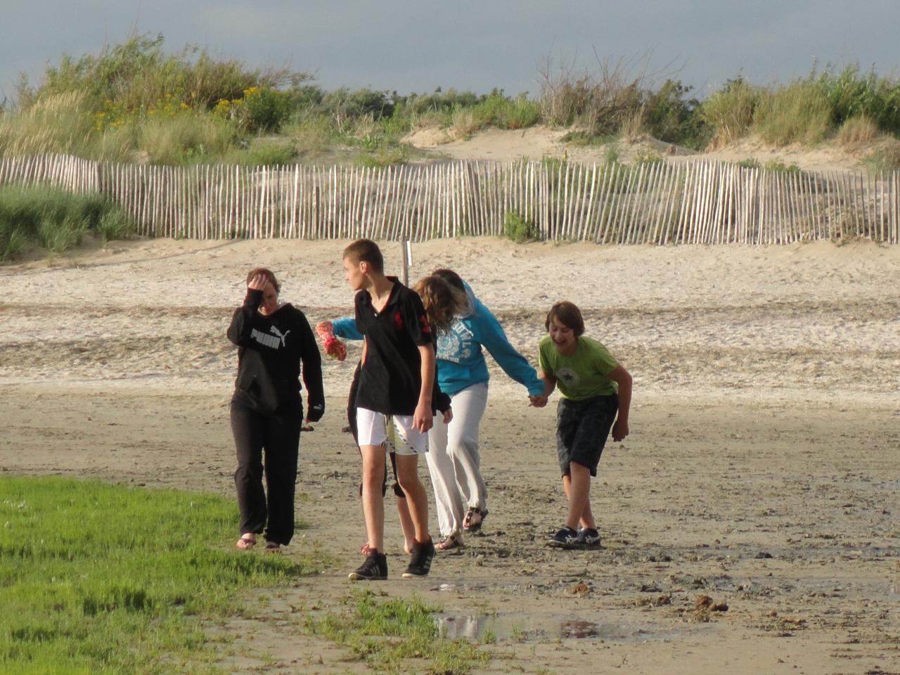 Baie de somme 2012