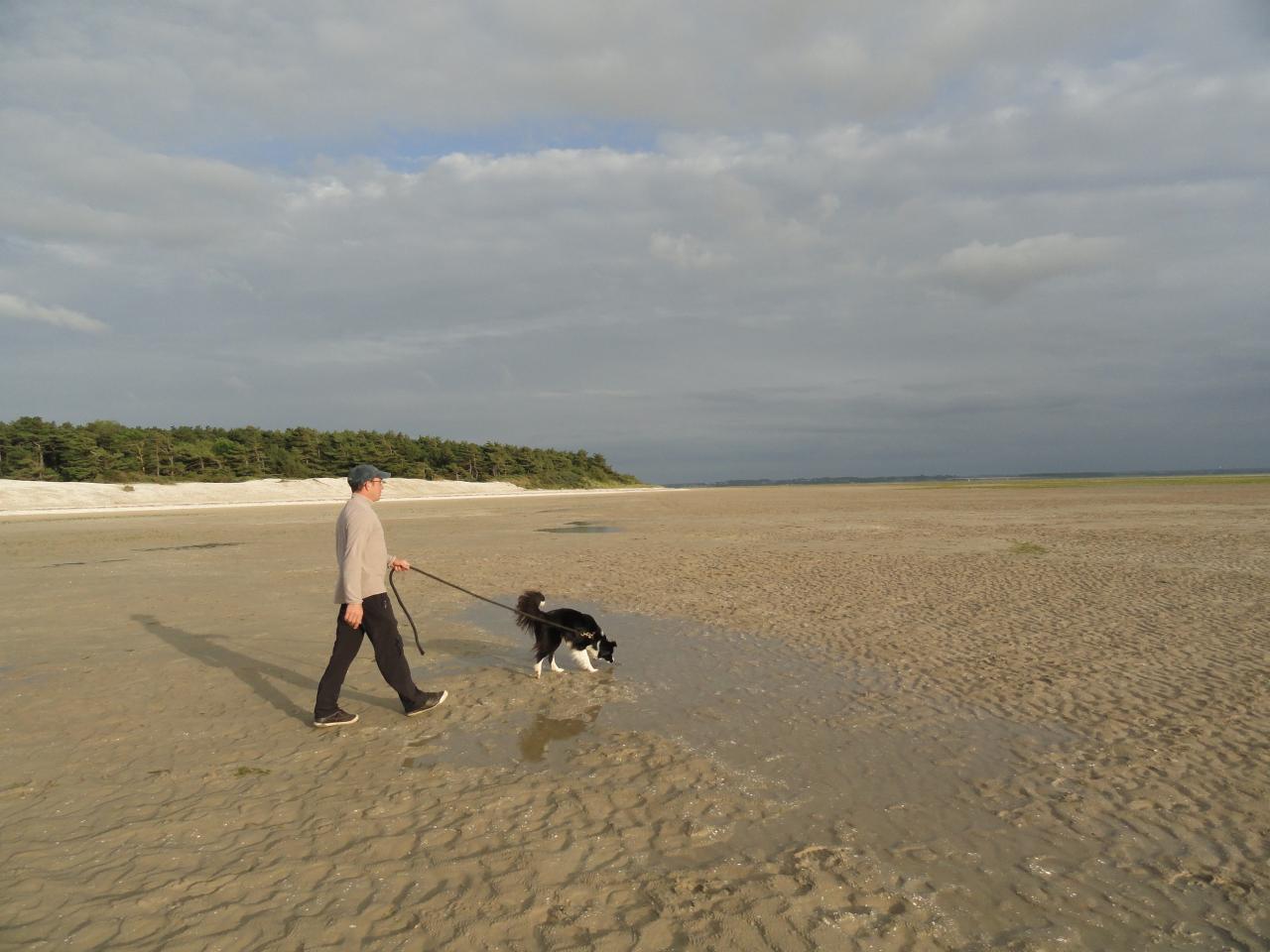 Baie de somme 2012