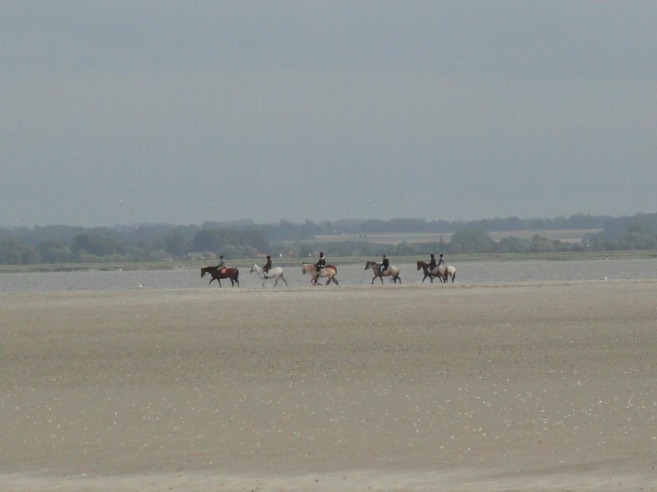 Baie de somme 2012