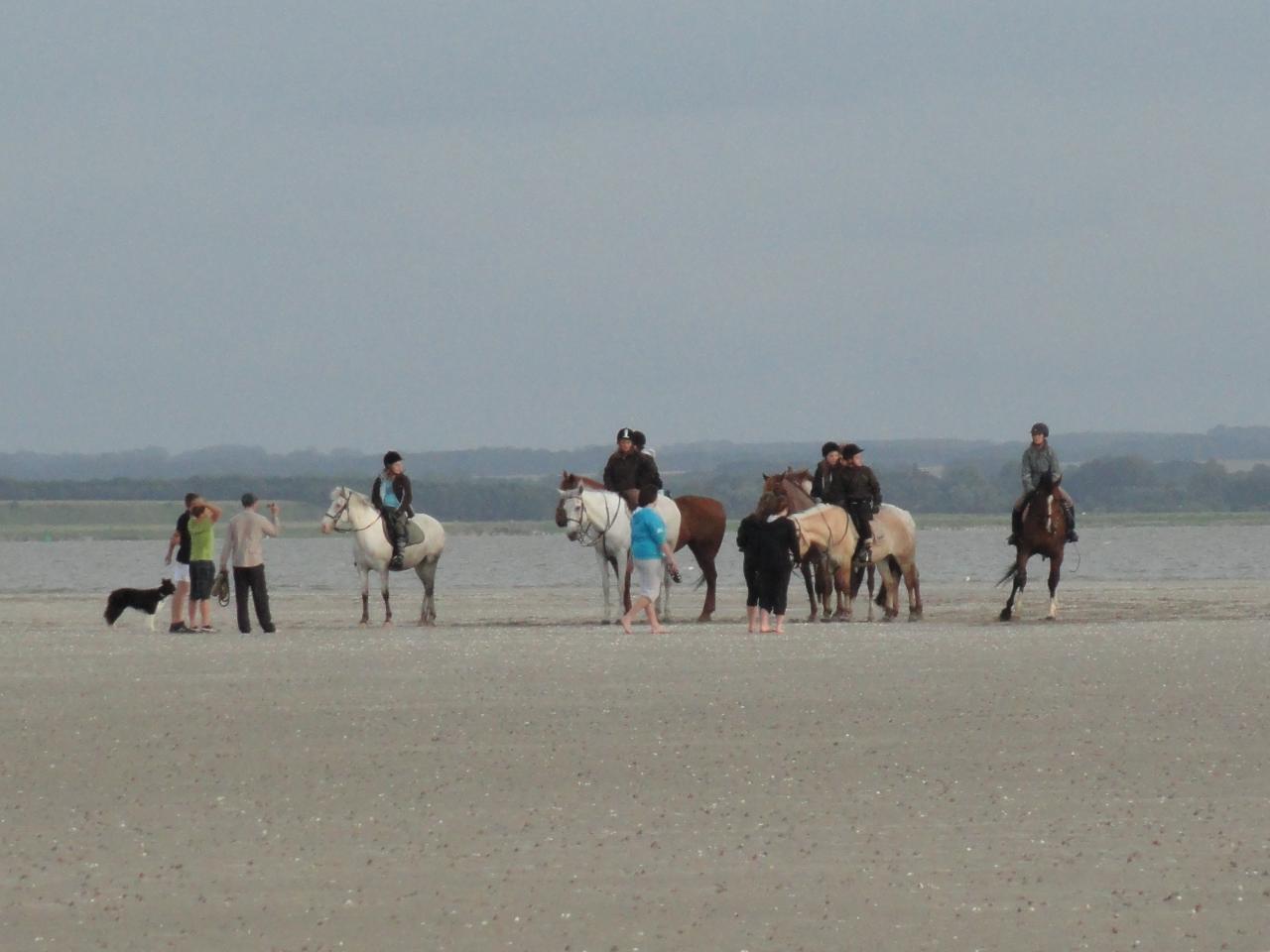 Baie de somme 2012