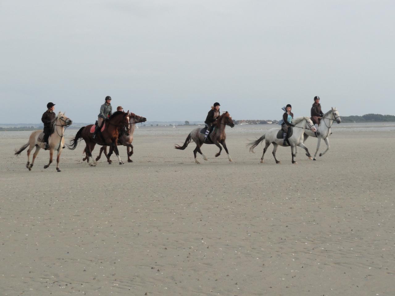 Baie de somme 2012