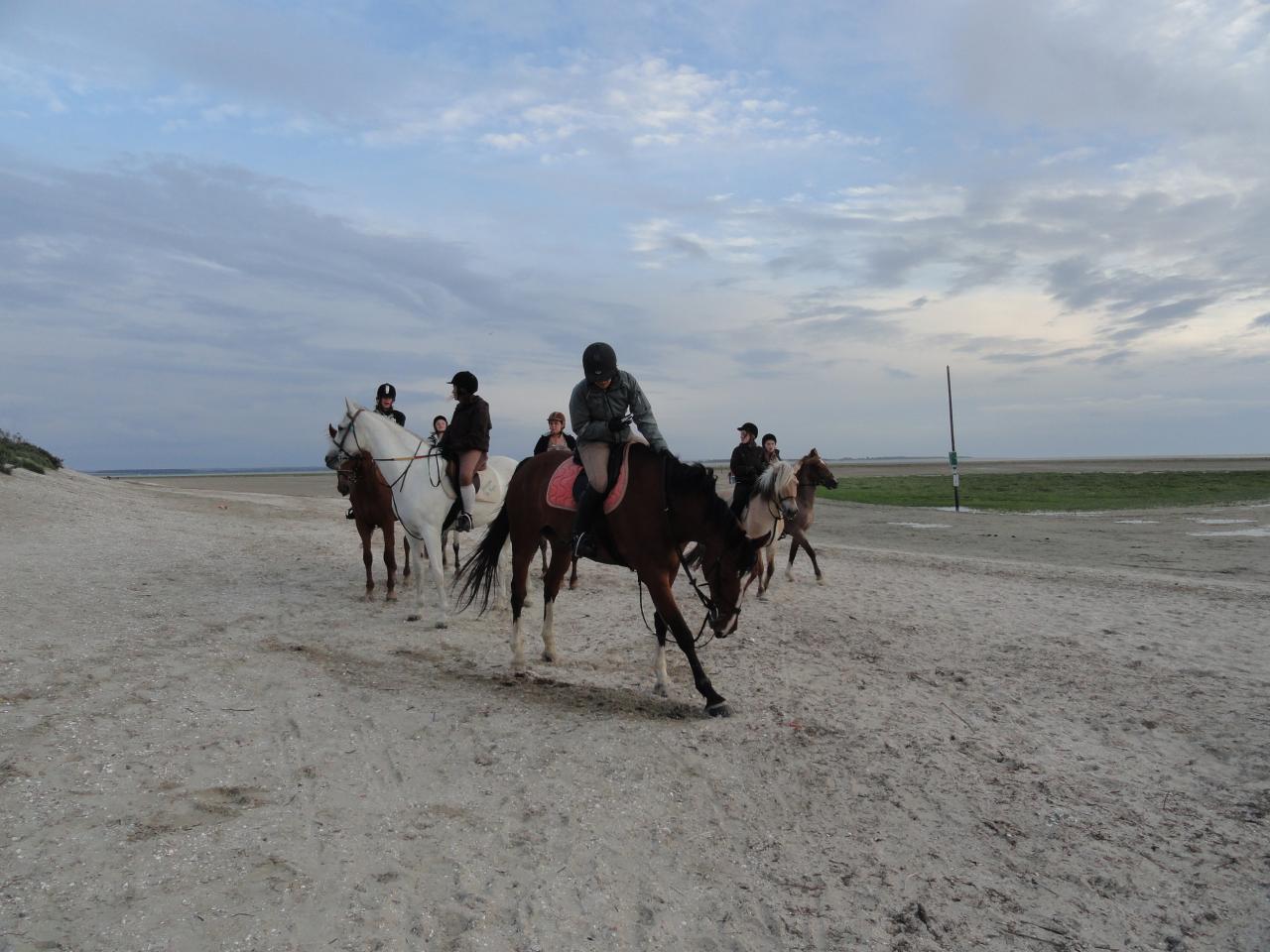 Baie de somme 2012