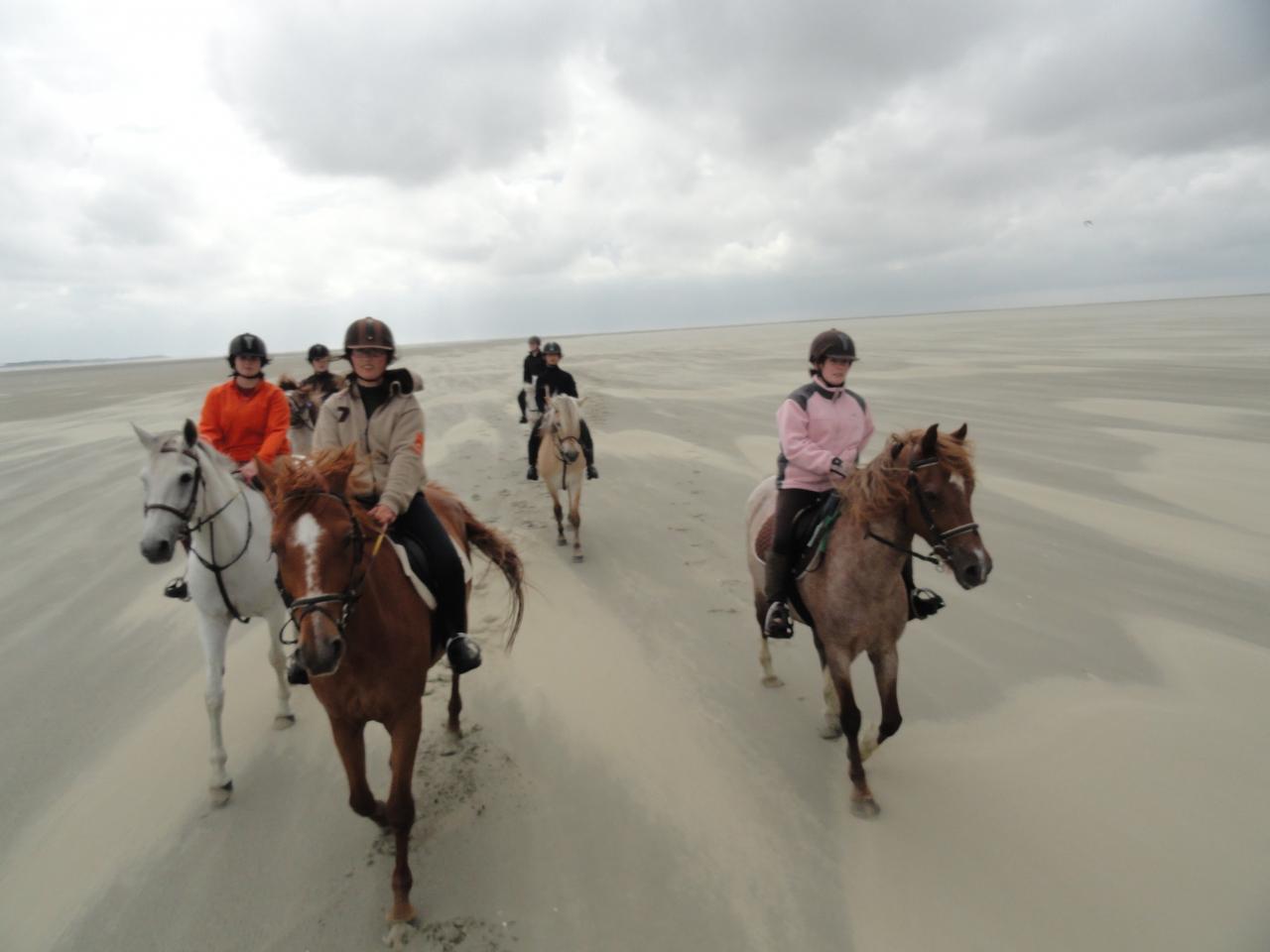 Baie de somme 2012