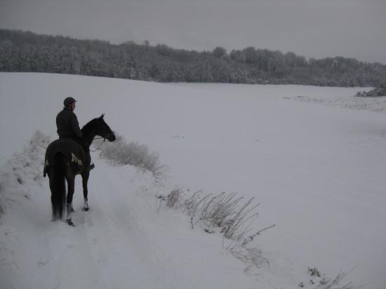 Un cavalier solitaire perdu dans le grand Nord