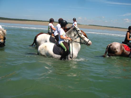  Partis pour la nage...