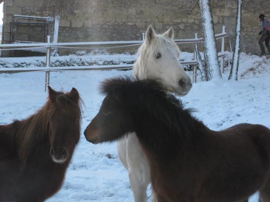 Un bisou lolit? non...