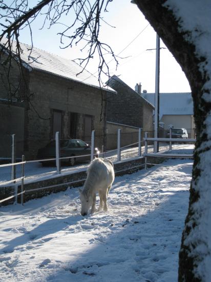 Un temps d'hiver