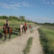 Sur le sentier ornithologique