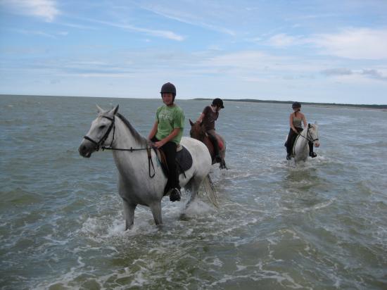 Bain de mer groupe 2.