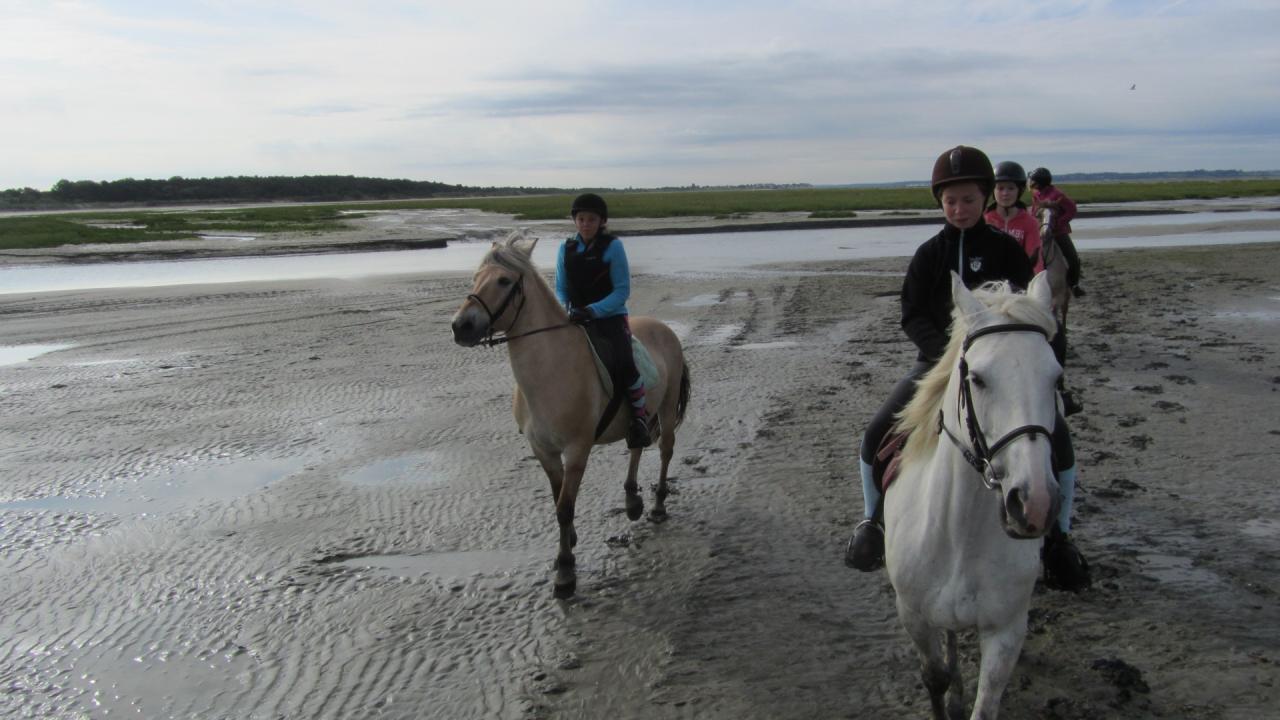 Enfin les sabots dans le sable!