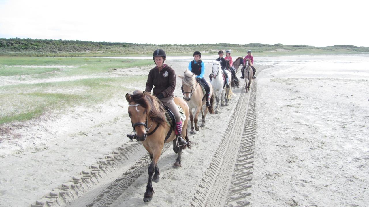 Sur les traces des ramasseurs de moules...