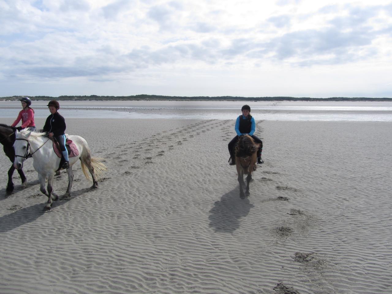 quelques empreintes dans le sable...