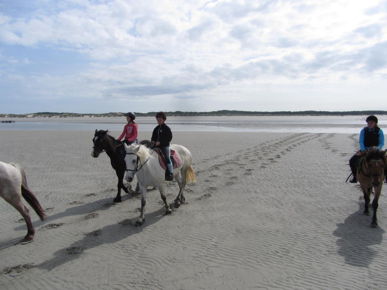 quelques empreintes dans le sable...