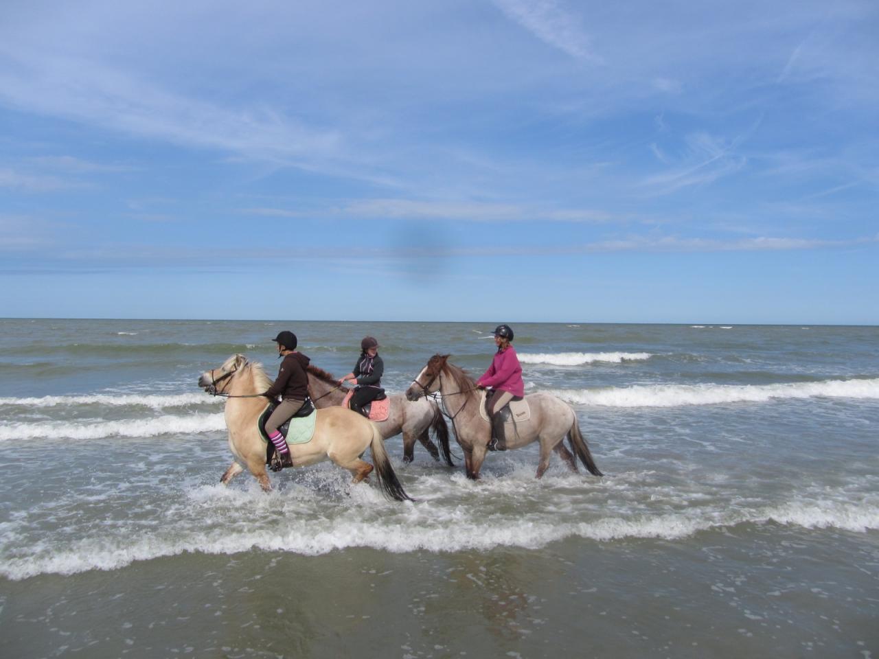 Premiers jeux dans les vagues!