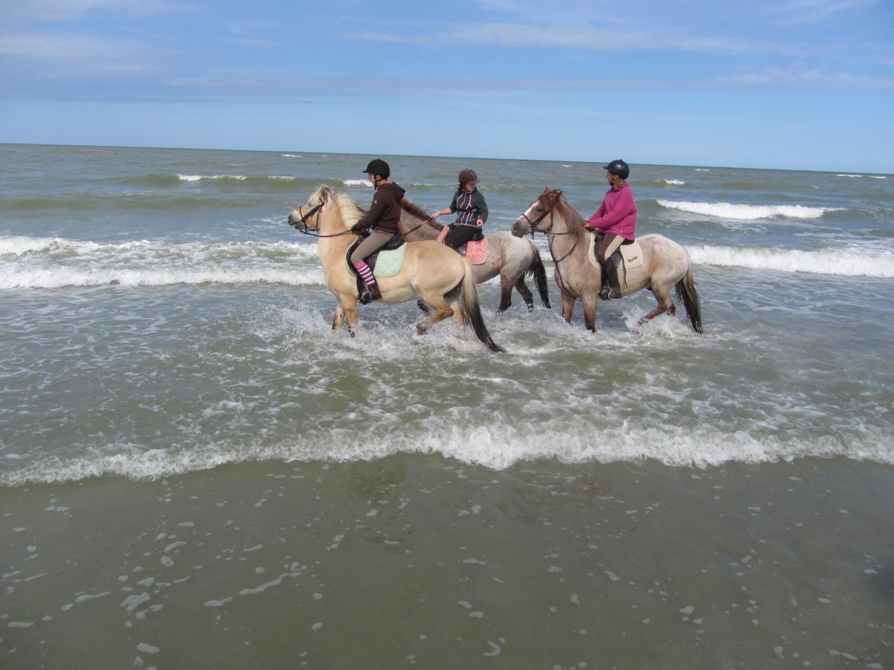 Premiers jeux dans les vagues!