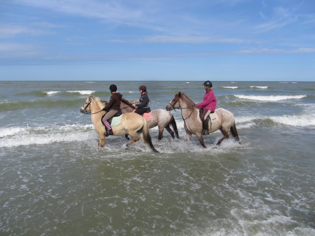 Premiers jeux dans les vagues!