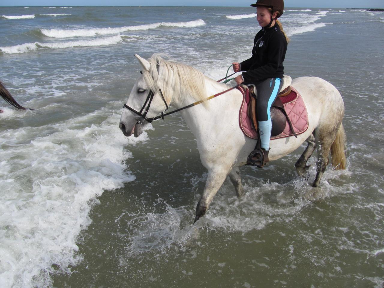 Premiers jeux dans les vagues!