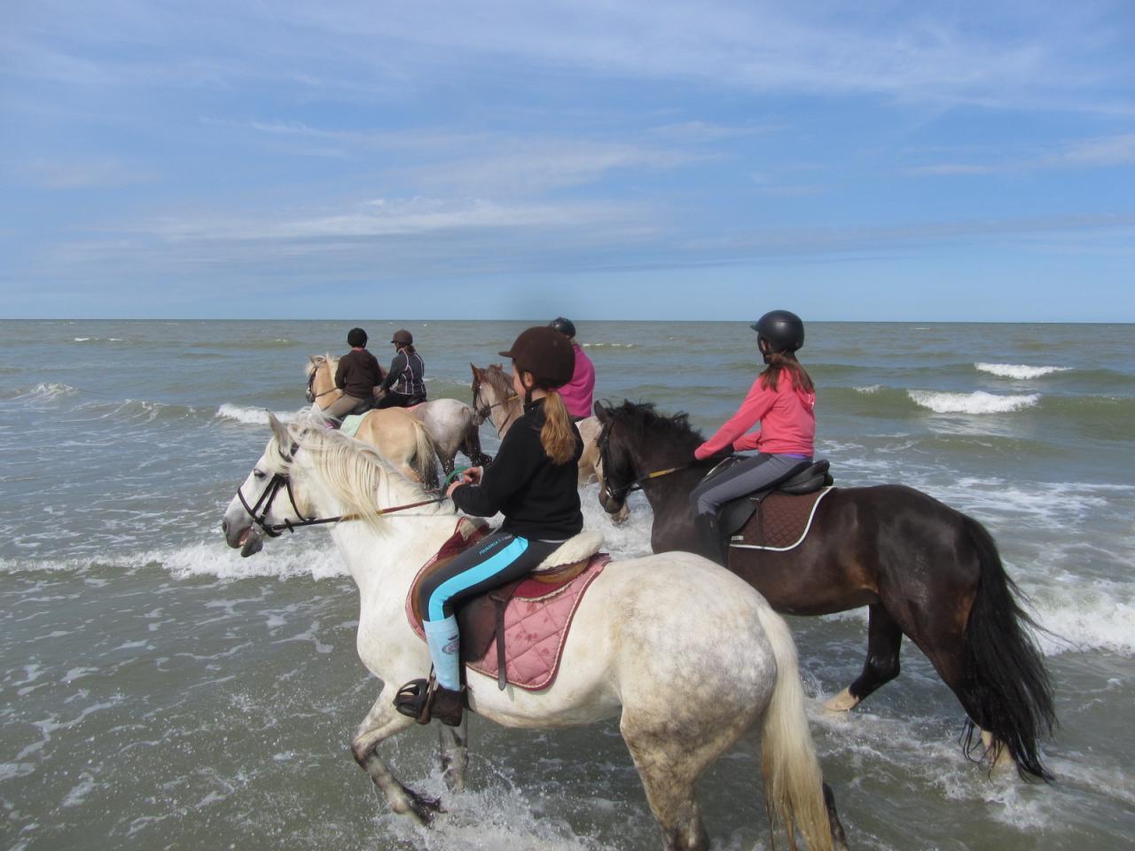 Premiers jeux dans les vagues!