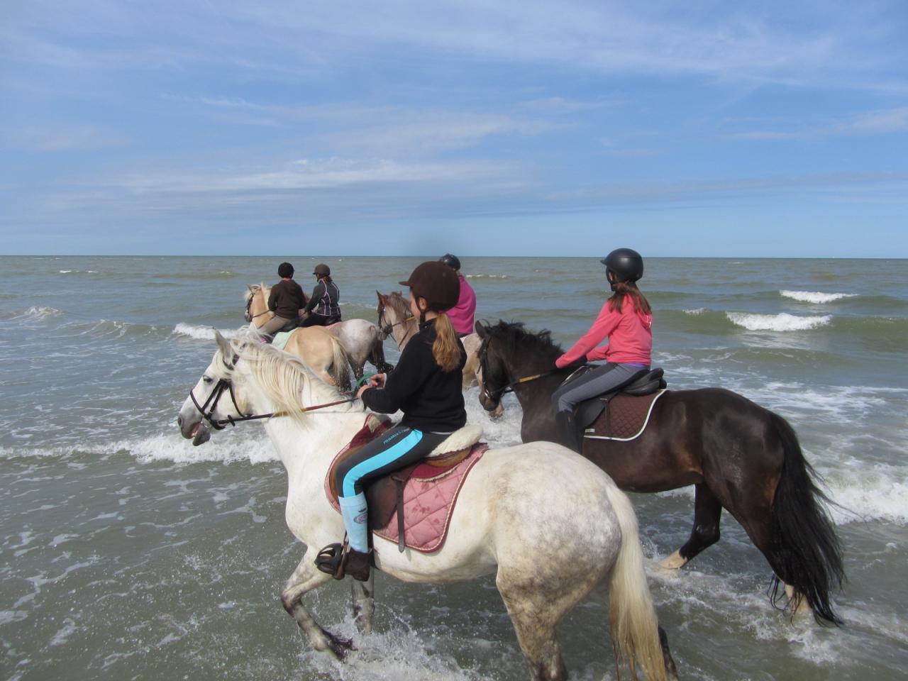 Premiers jeux dans les vagues!