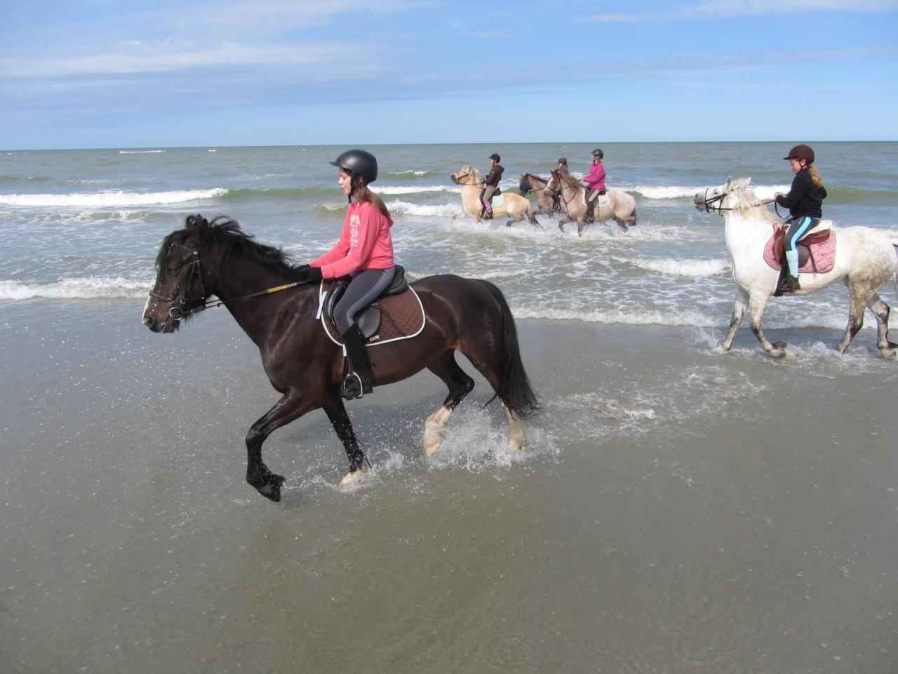 Premiers jeux dans les vagues!