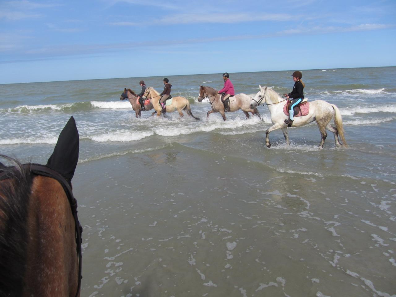 Premiers jeux dans les vagues!