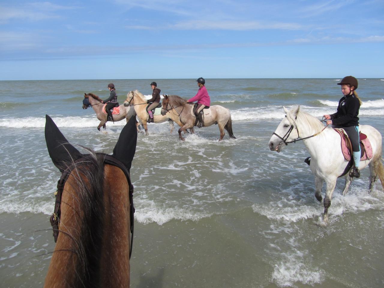 Premiers jeux dans les vagues!