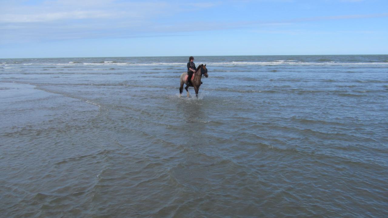 Polkich & Jonquille profitent de ce 1er bain!