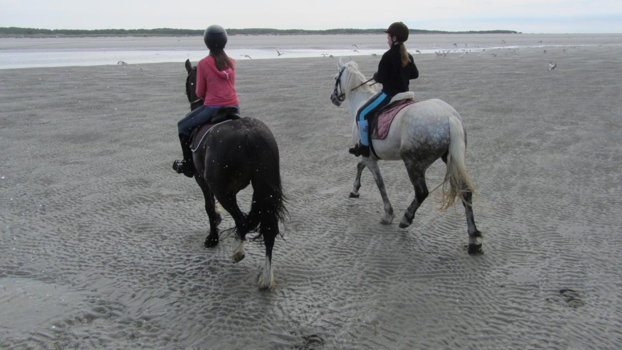 De retour vers les dunes...