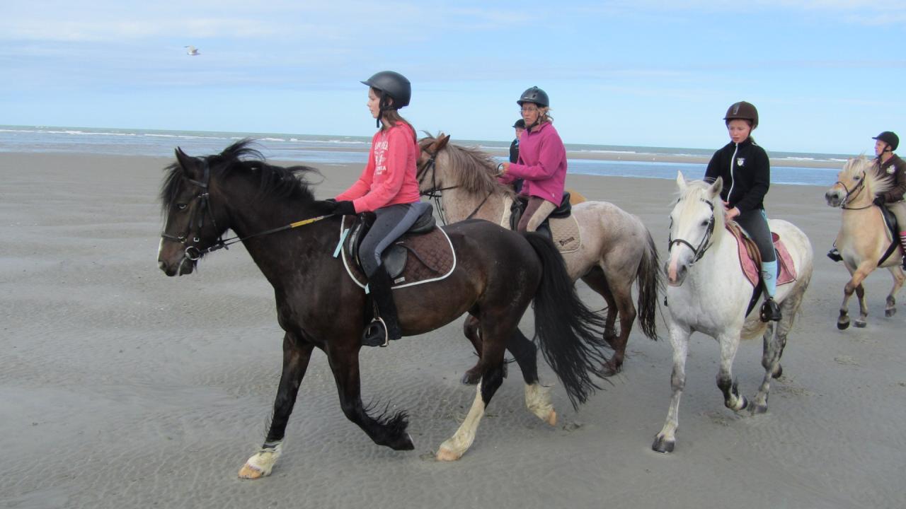 Retour vers les dunes au petit trot...